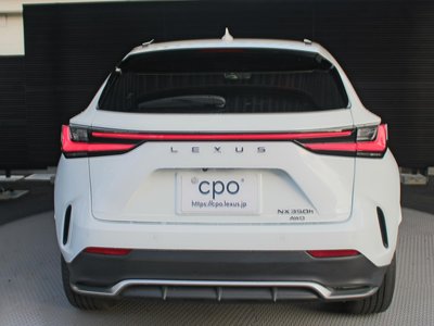 2024 Lexus NX 缩略图 11
