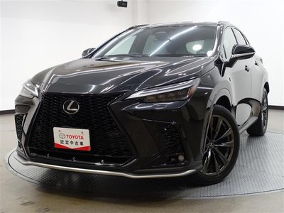 LEXUS NX - 10