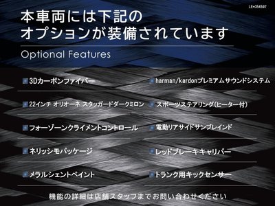 2020 Maserati LEVANTE 照片 3