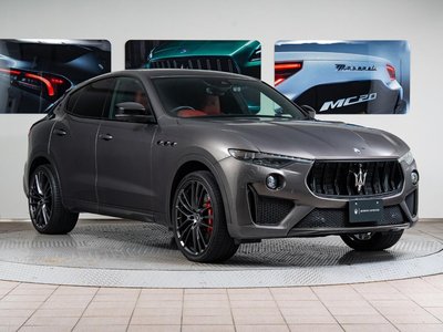 2020 Maserati LEVANTE 缩略图 14