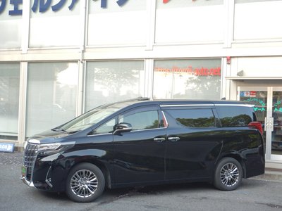 TOYOTA ALPHARD - 3
