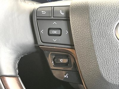 2025 Toyota ALPHARD 缩略图 34