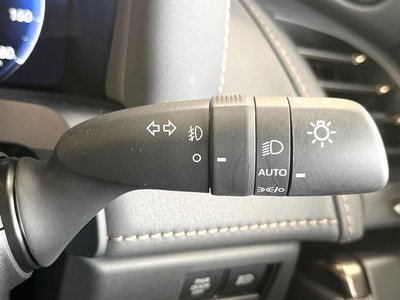 2025 Toyota ALPHARD 缩略图 33