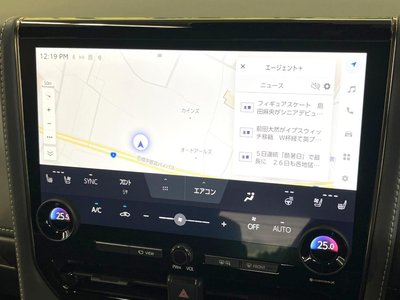 2025 Toyota ALPHARD 缩略图 23