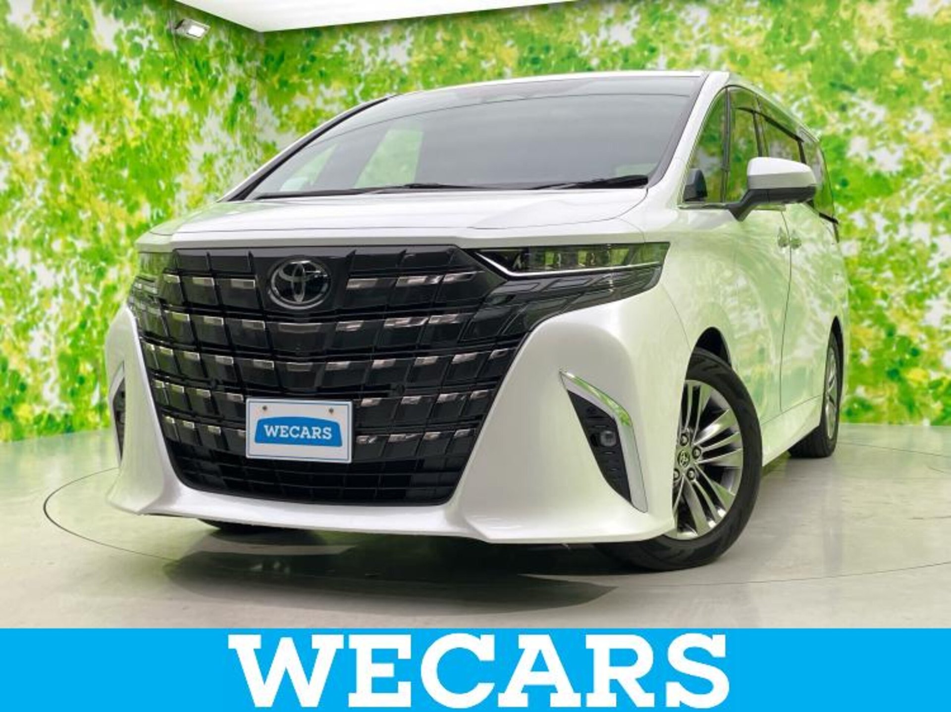 TOYOTA ALPHARD - View 1