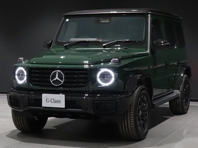 MERCEDES-BENZ G-CLASS - 8
