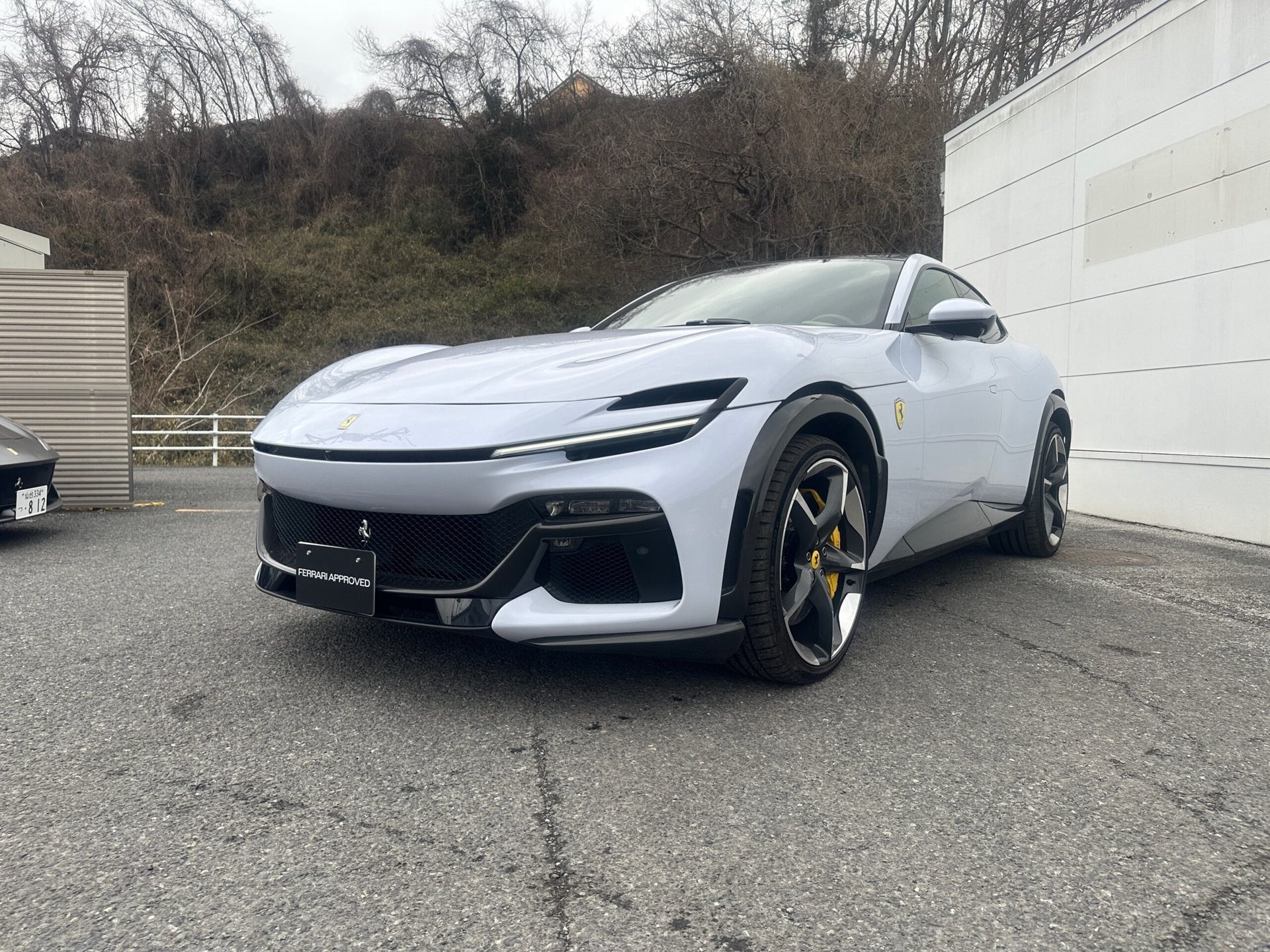 FERRARI PUROSANGUE - View 1