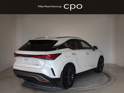 2023 Lexus RX photo 8