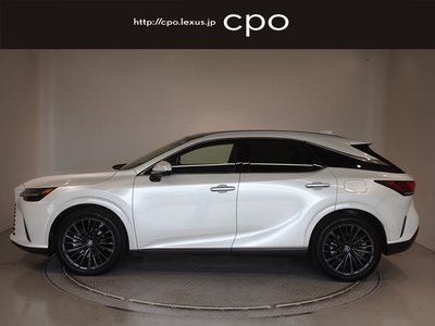2023 Lexus RX photo 6