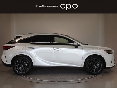 2023 Lexus RX photo 7