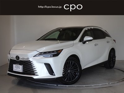 2023 Lexus RX photo 1
