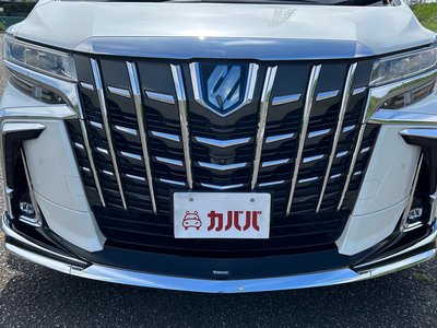 TOYOTA ALPHARD - 9