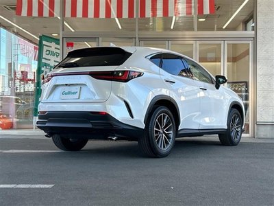 LEXUS NX - 10