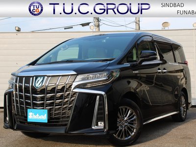 2021 TOYOTA ALPHARD 照片 1