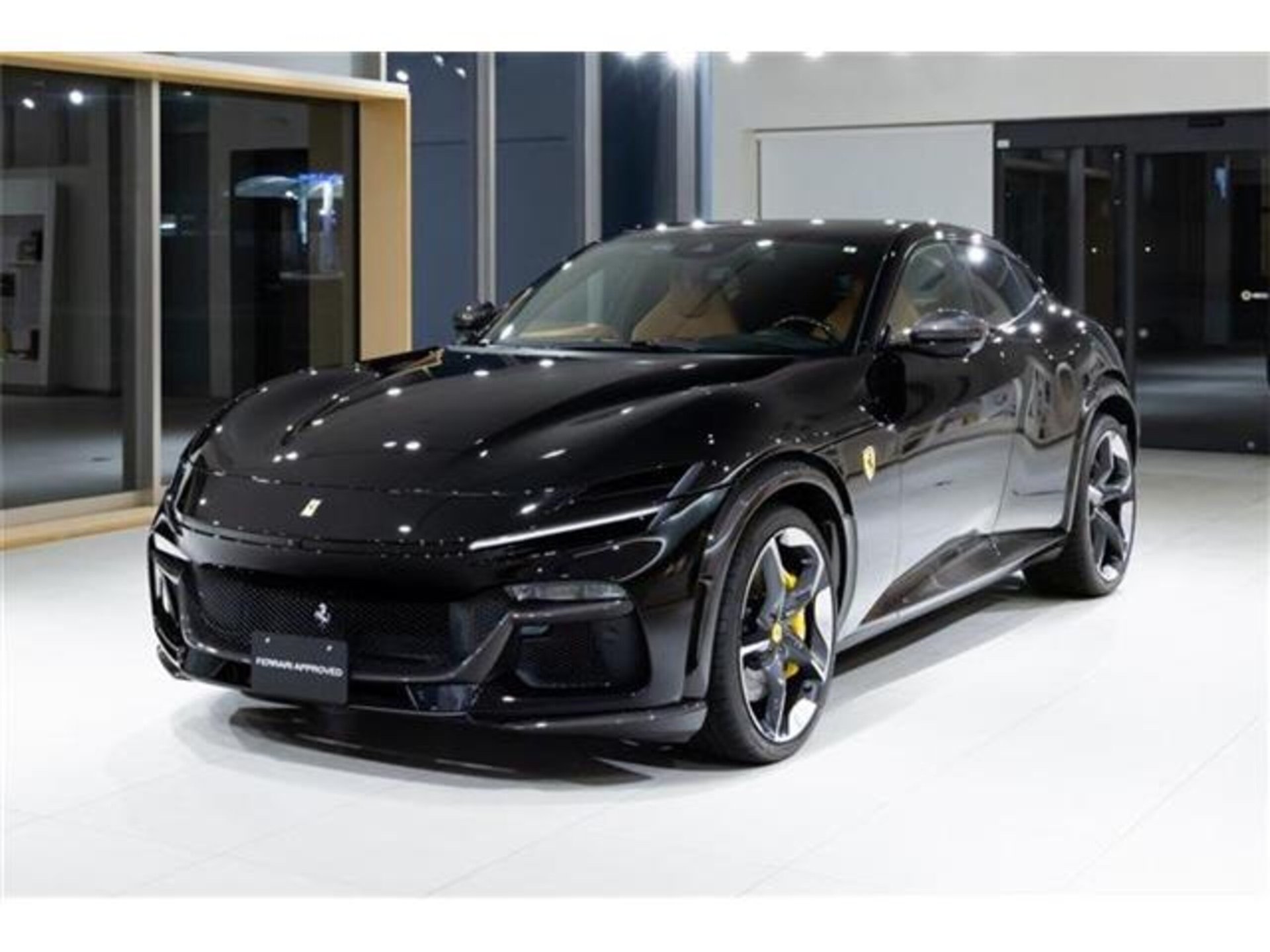 FERRARI PUROSANGUE - View 1