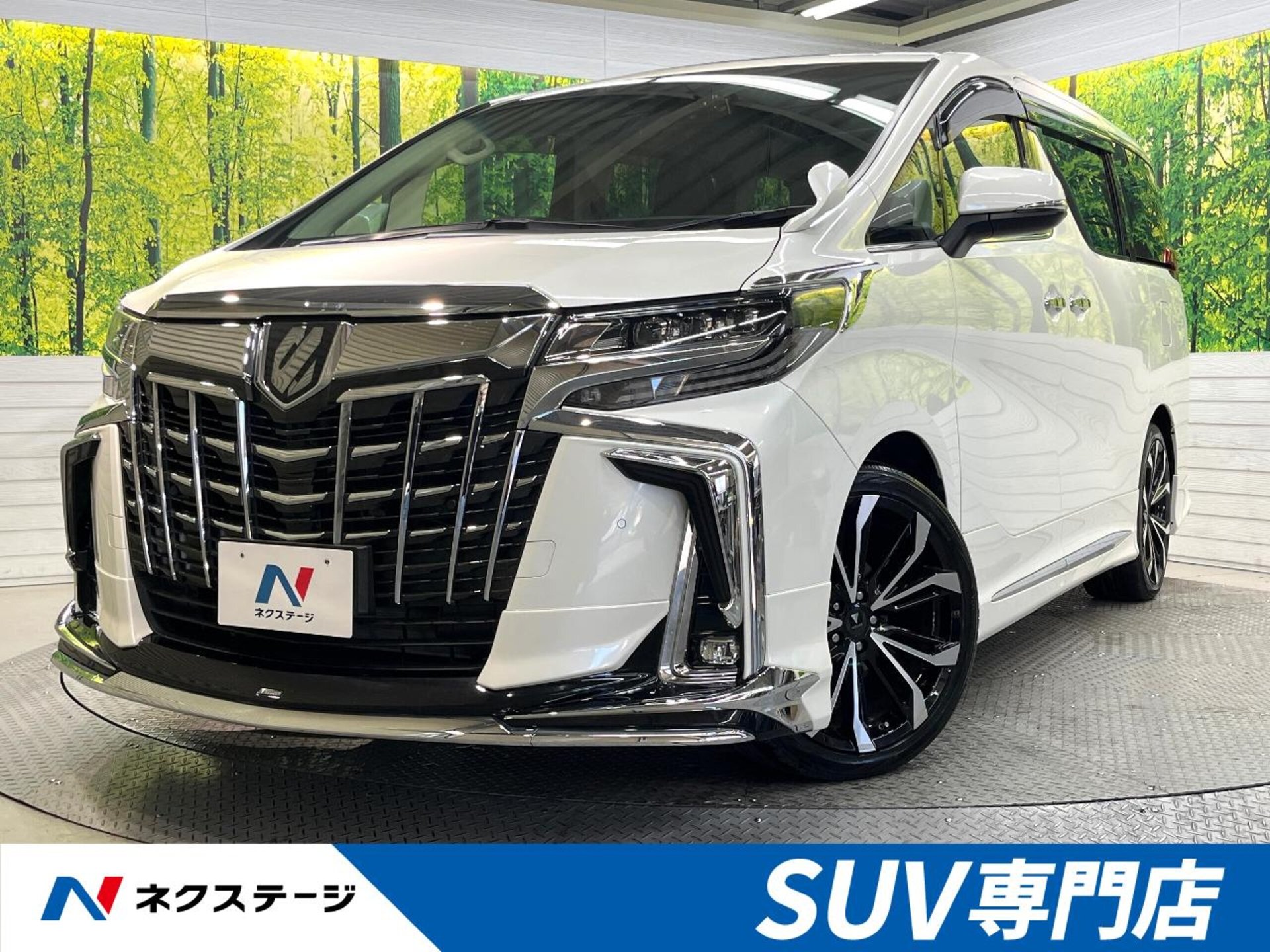 TOYOTA ALPHARD - View 1