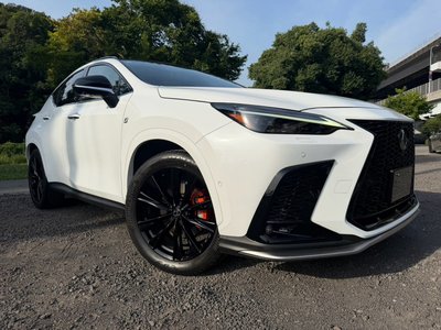 2023 Lexus NX — миниатюра 15