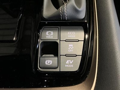 2025 TOYOTA ALPHARD thumbnail 30