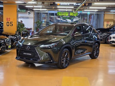 LEXUS NX - 1