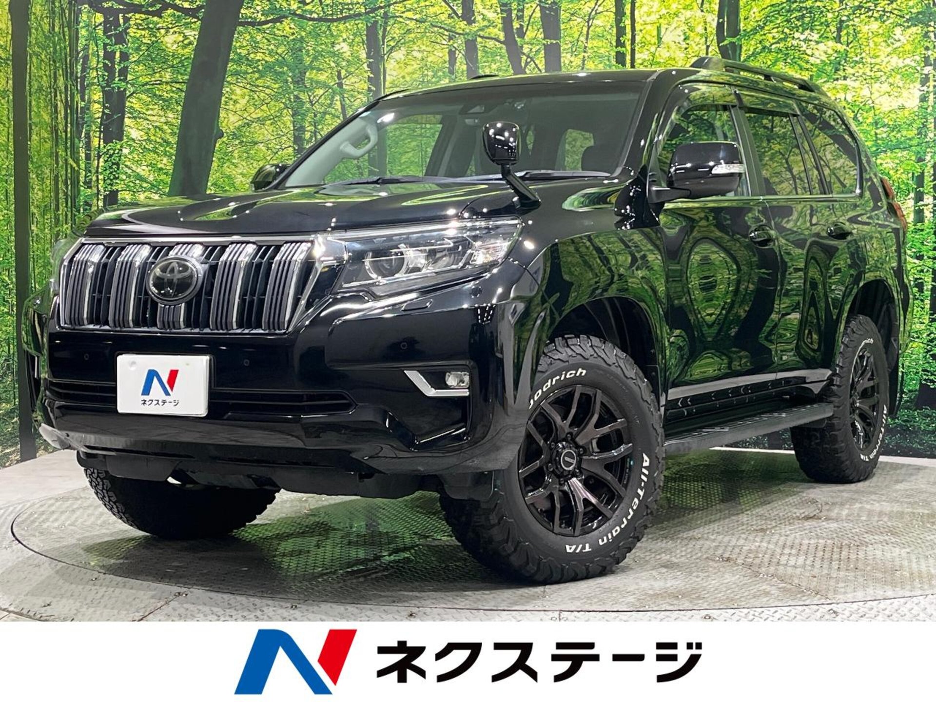 TOYOTA LAND CRUISER PRADO - View 1