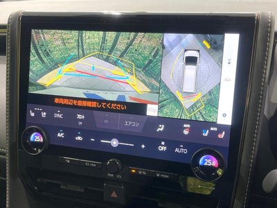 2025 Toyota ALPHARD 照片 6