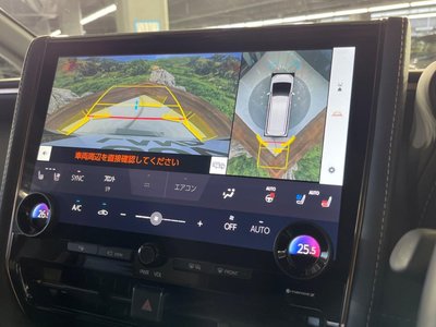 TOYOTA ALPHARD - 7