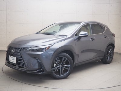 LEXUS NX - 1