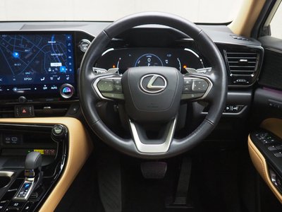 LEXUS NX - 10