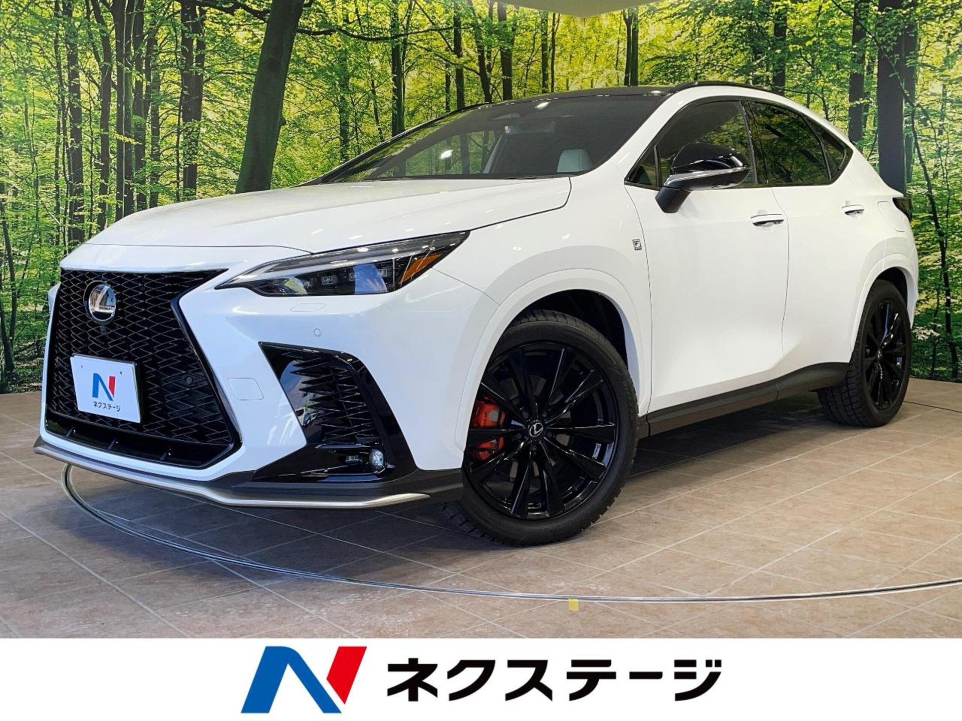 LEXUS NX - View 1