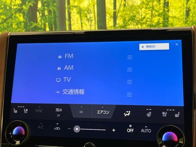 2023 Toyota VELLFIRE — миниатюра 64