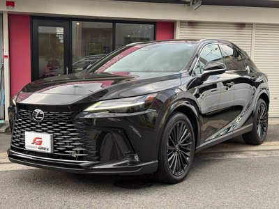 2023 Lexus RX — фото 1