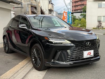2023 Lexus RX — фото 10