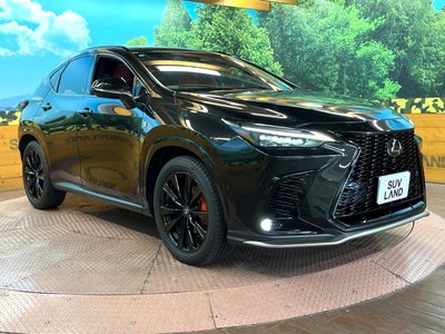صورة مصغرة 16 لـ 2023 Lexus NX
