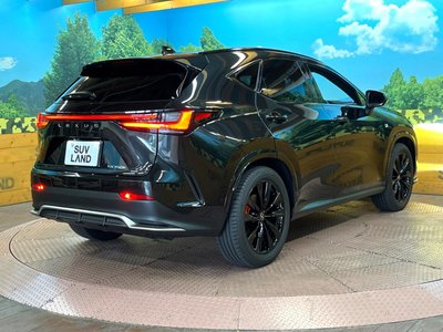 صورة مصغرة 17 لـ 2023 Lexus NX