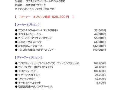 2024 Toyota ALPHARD 照片 4