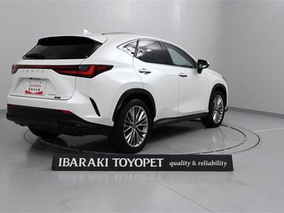 LEXUS NX - 6