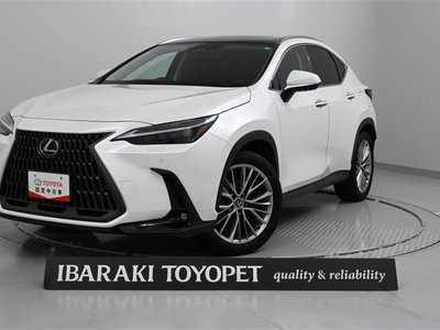 LEXUS NX - 1
