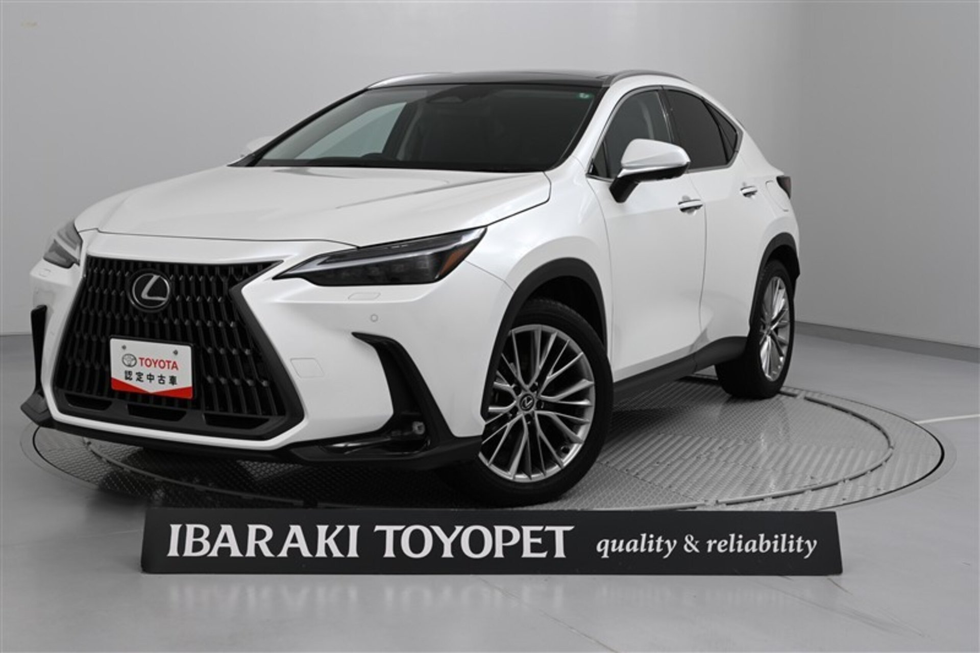 LEXUS NX - View 1