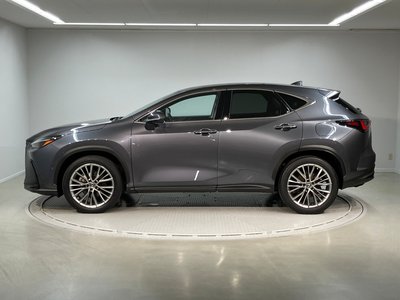 2021 Lexus NX 缩略图 4