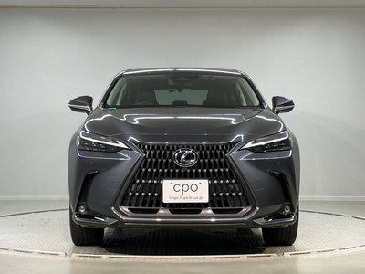 2021 Lexus NX 缩略图 2