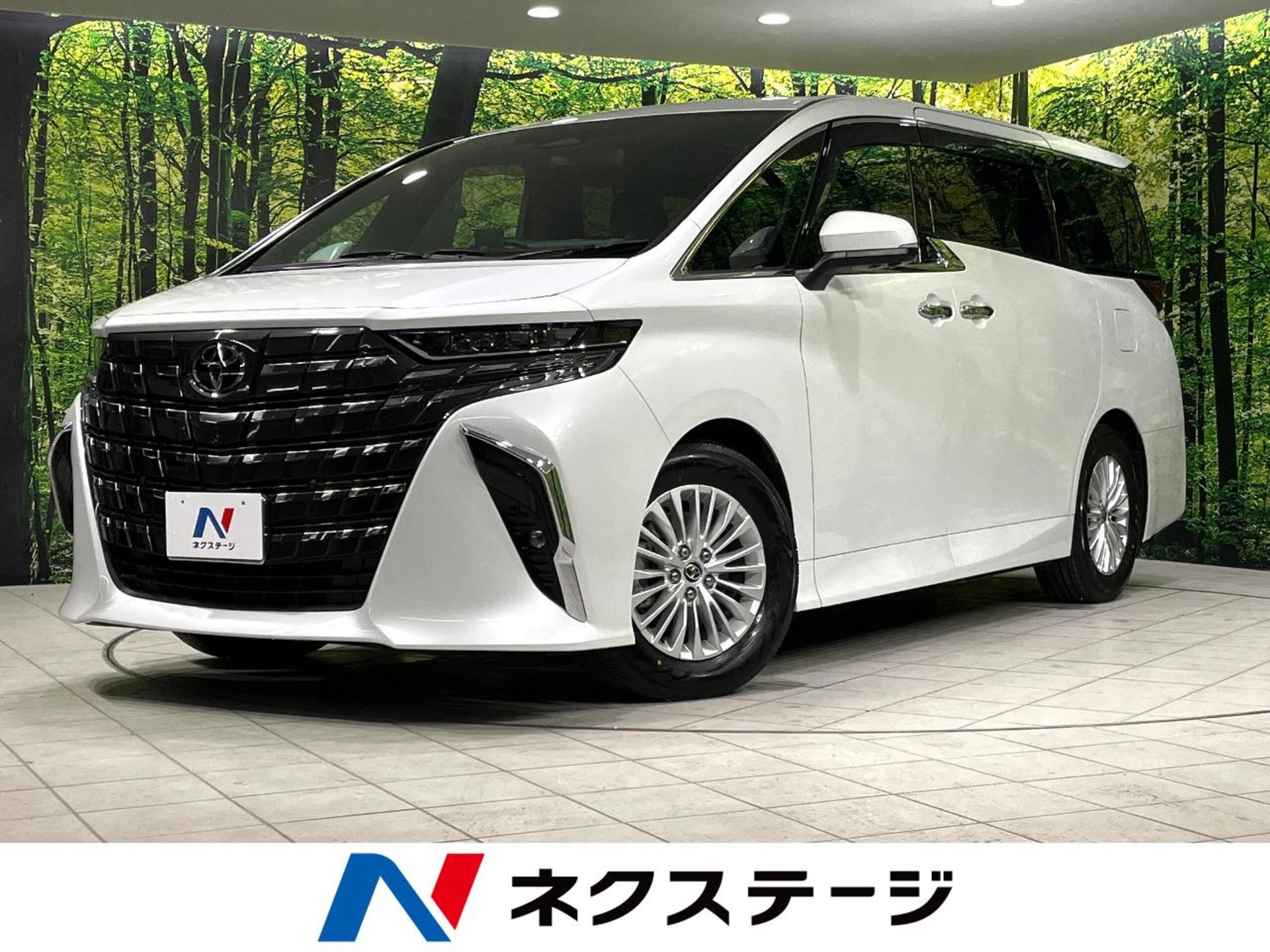 TOYOTA ALPHARD - View 1