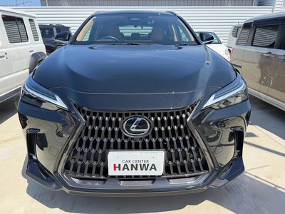 LEXUS NX - 8
