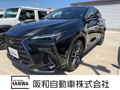 LEXUS NX - 1