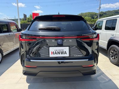 LEXUS NX - 4