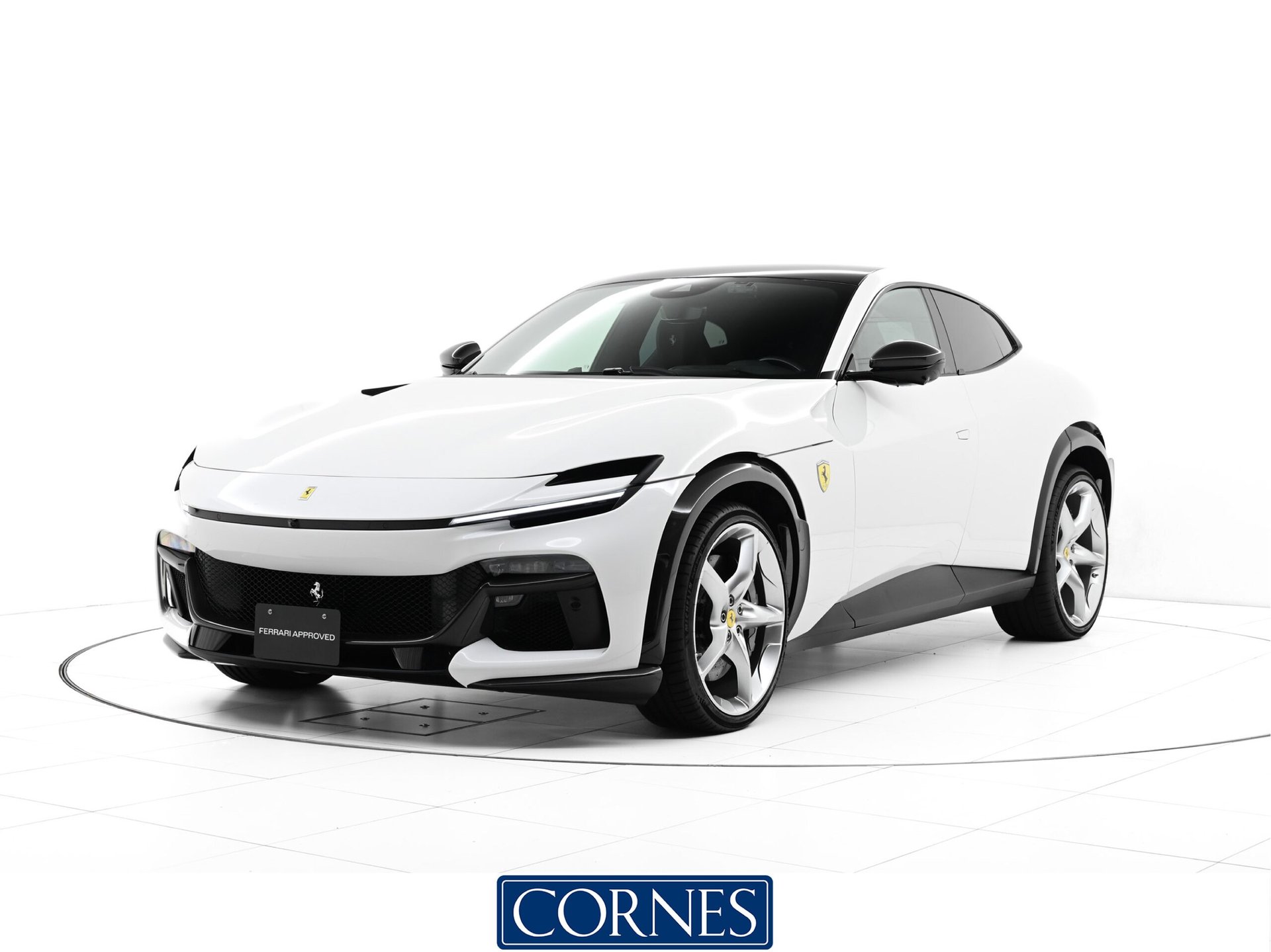 FERRARI PUROSANGUE - View 1