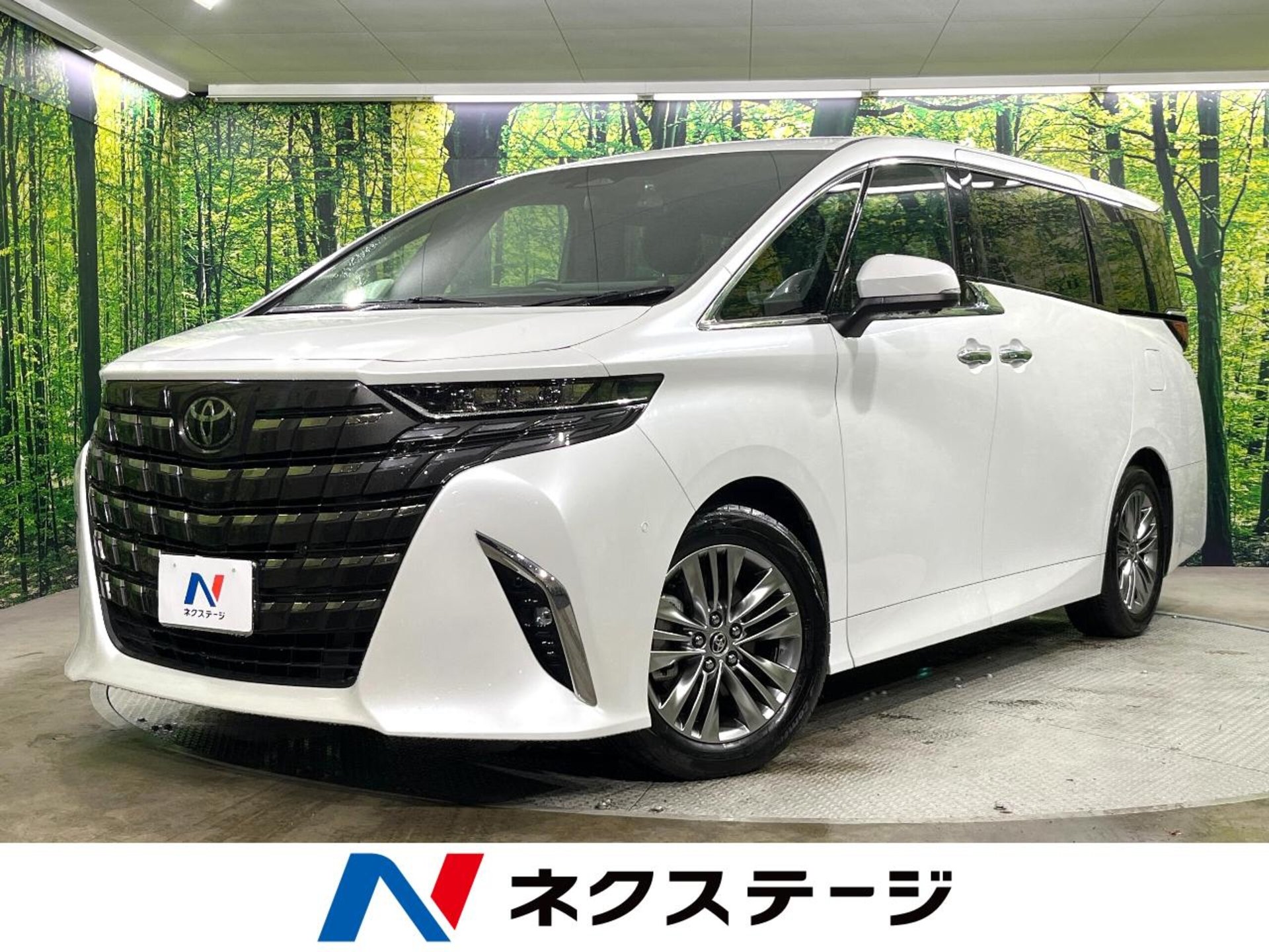 TOYOTA ALPHARD - View 1