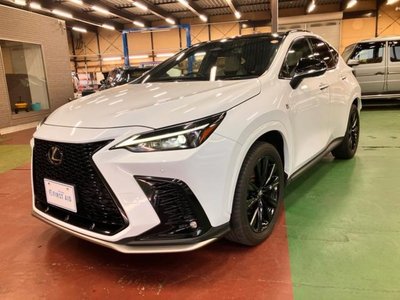 LEXUS NX - 2