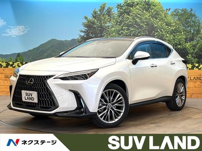 LEXUS NX - 1