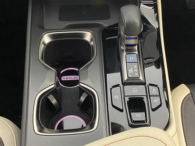 2022 Lexus NX 缩略图 20
