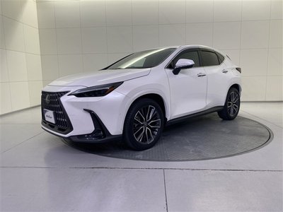 2022 Lexus NX — фото 2
